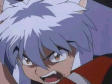 inuyashanew.23.jpg